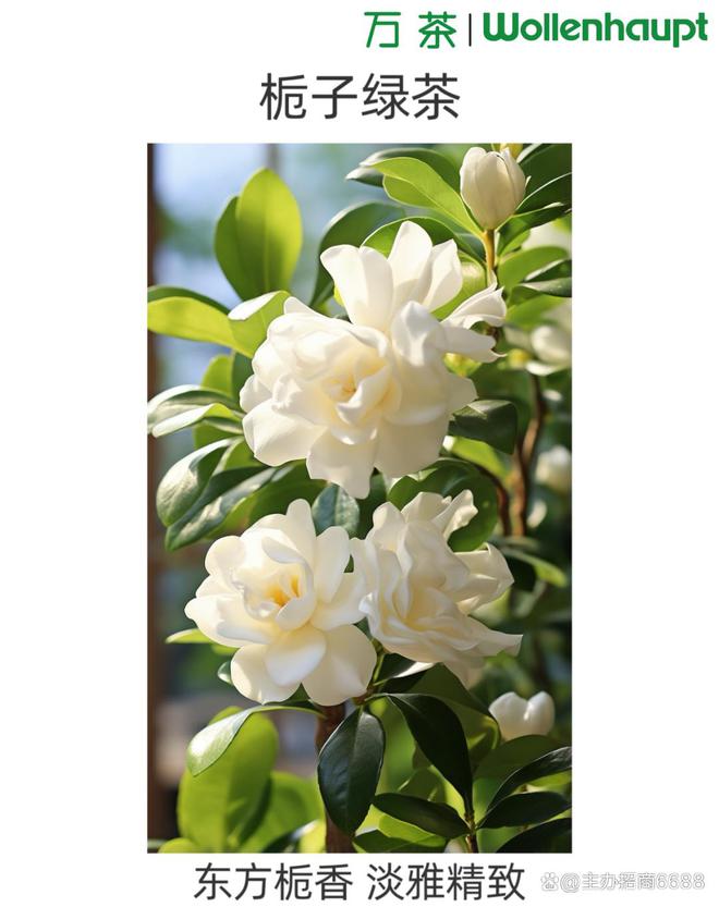 2025上海国际春季茶饮展览会@探寻品质好茶领略文化的博大精深(图3)