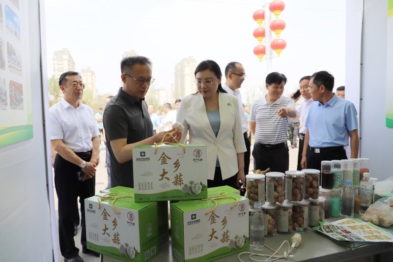2024年鲁南经济圈退役军人投身乡村振兴成果展销会成功举办(图2)