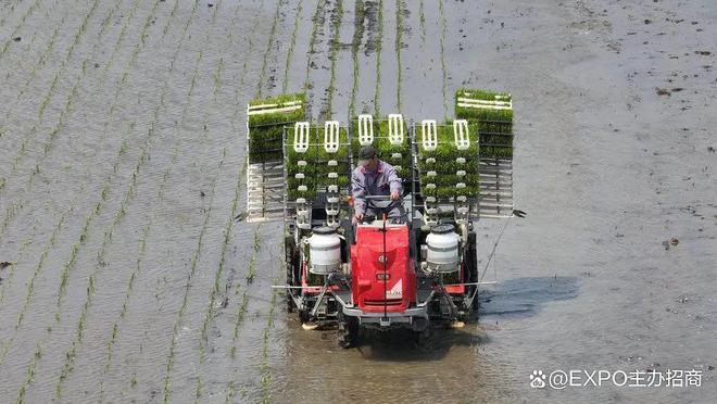 2024年中国(上海)自有品牌博览会涵盖工厂代工和OEM贴牌展览。(图9) 2024年中国(上海)自有品牌博览会涵盖工厂代工和OEM贴牌展览。(图9)
